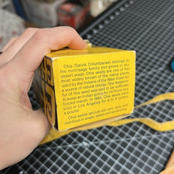 Vintage Chia Charlie One Standing Terracotta Cat Feline 1980s Collectible Plant - Picture 5 of 9